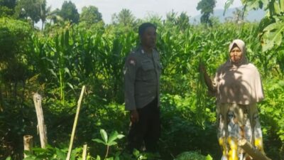 Pendekatan Humanis Polri di Sawah Karang Kuripan: Wujudkan Pangan Aman