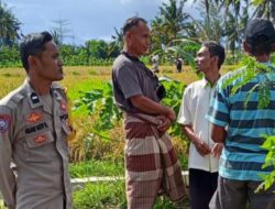 Sinergi Petani dan Polisi di Lombok Barat, Ketahanan Pangan Jadi Prioritas