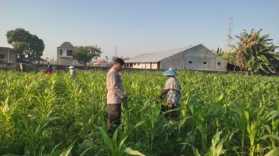 Bhabinkamtibmas Desa Kuranji Dorong Warga Manfaatkan Lahan Kosong untuk Ketahanan Pangan