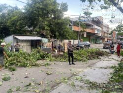 Sat Samapta Polres Bima Kota Tindaklanjuti Laporan Warga Terkait Pohon Tumbang di Kelurahan Sarae