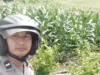 Bhabinkamtibmas Sekotong Pantau Produktivitas Jagung di Lahan Marginal