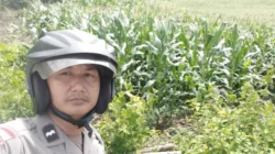 Strategi Polsek Sekotong Optimalkan Lahan Tadah Hujan di Lombok Barat