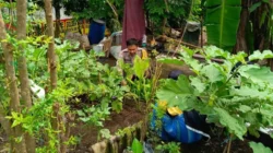 Bhabinkamtibmas Lombok Barat Tinjau Greenhouse Bambu di Perampuan