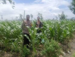 Polsek Gerung Ajak Warga Beleke Optimalkan Lahan Tidur demi Swasembada Pangan