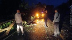 Pastikan Jalur Lintas Tetap Aman, Polsek Labuhan Badas Amankan TKP Pohon Tumbang di Karang Dima
