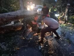 Polsek Asakota Polres Bima Kota Bersama Warga Lakukan Pembersihan Pohon Tumbang di Jalan Lintas Wera – Bima