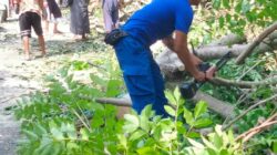 Personel Ditpolairud Polda NTB Bantu Warga Singkirkan Pohon Tumbang di Lombok Barat