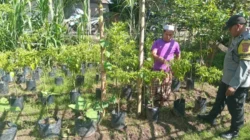 Sinergi Polri dan Warga Sidemen Lauq Budidaya Hortikultura