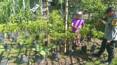 Polsek Batulayar Dorong Warga Manfaatkan Lahan Pekarangan