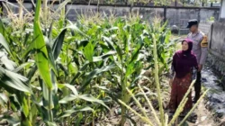 Polri Dorong Ketahanan Pangan di Labuapi Lombok Barat