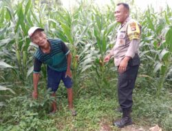Polres Lombok Barat Kawal Program Swasembada Pangan di Labuapi